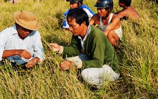 Khuyến khích nông dân giới thiệu nông sản qua mạng xã hội