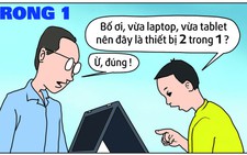 Hai trong một