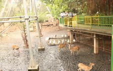 ​Đầu tư để môi trường sống các vườn thú phong phú hơn