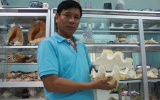 Chuyện người sưu tầm hơn 1.000 loài ốc