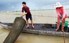 Về miền Tây mùa này nước đang nổi