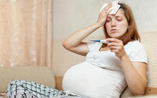​Phụ nữ có thai cần cẩn trọng để tránh sốt xuất huyết