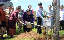 Đoàn nữ đại biểu Quốc hội Việt - Lào thăm Quảng Nam