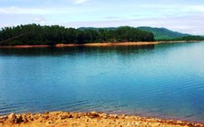 Dừng dự án du lịch tâm linh  nghìn tỉ ở rừng Phú Ninh