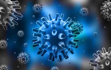 ​Tìm hiểu về bệnh herpes sinh dục