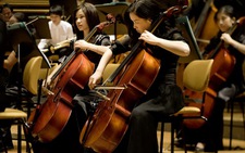 Lệ Chi viên trên quê hương Beethoven