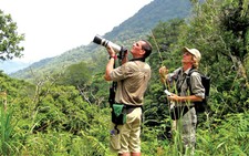 Đi tìm chim khướu Kon Ka Kinh