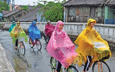 Mưa Huế: 
