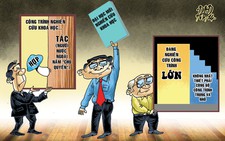 Một mô hình hoạt động khoa học cho Việt Nam