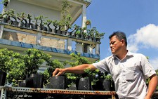Đưa bonsai 