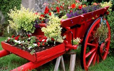 ​Cảm Đà Lạt bằng cả năm giác quan