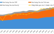Thị trường gạo TPP không dễ chiếm
