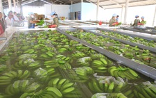 Làm gì để thay đổi diện mạo rau quả Việt Nam trên thị trường quốc tế ?