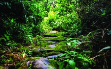 Tìm lại con đường đá cổ Pavie
