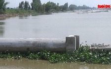 Đang nuôi thủy sản, người dân choáng váng vì dự án lấp kênh