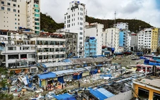 Những hình ảnh đầu tiên từ tâm bão Cát Bà: Đổ nát, hoang tàn đến đau lòng