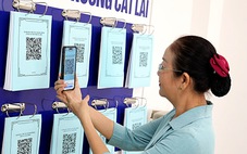 25 dịch vụ công thiết yếu phải nộp trực tuyến từ 1-10 gồm những gì?
