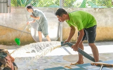 Bắc Ninh sau lũ lịch sử, khu công nghiệp lại sáng đèn, người dân chung tay dọn dẹp nhà cửa
