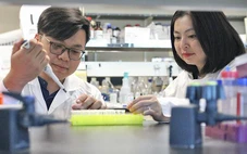 Hai nhà khoa học gốc Việt giải mã bí ẩn hợp chất chống ung thư trong tự nhiên