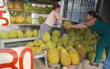 Cái vòng luẩn quẩn 'trồng chặt, lên rẫy, xuống ruộng' của người nông dân