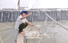 Một bộ phận nông dân bứt phá, doanh thu hàng năm trên 100 tỉ đồng