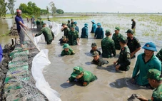 Lũ làm thủng đê ở Đồng Tháp Mười, bộ đội Tây Ninh hỗ trợ dân gia cố đê bảo vệ lúa