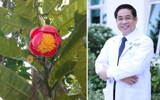 Hoa trà my mới vinh danh bác sĩ Nguyễn Hoàng Bắc