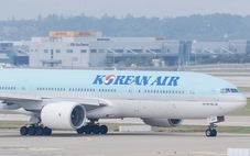 Korean Air tính mở rộng mạng bay tại Việt Nam, dõi theo tiến độ sân bay Long Thành