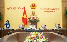 Ủy ban Thường vụ Quốc hội đã 'chốt' số Phó chủ tịch HĐND cấp tỉnh sau sáp nhập