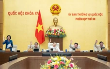 Ủy ban Thường vụ Quốc hội đã 'chốt' số phó chủ tịch HĐND cấp tỉnh sau sáp nhập