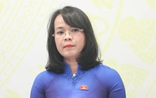 Lý do chưa sửa toàn diện Luật Đất đai 2024