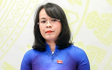 Lý do chưa sửa toàn diện Luật Đất đai 2024