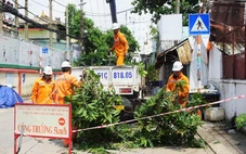 Ngành điện TP.HCM chủ động ứng phó mưa bão