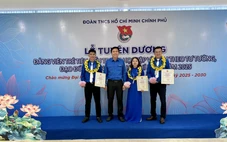 Tuổi trẻ góp phần phát triển Tập đoàn Cao su Việt Nam trong giai đoạn mới