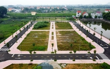 Trúng đấu giá nhưng bỏ cọc, không nộp tiền đất, bị cấm tham gia đấu giá đất đến 5 năm