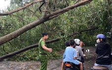 Phường 'cửa ngõ' của TP.HCM thiệt hại lớn do mưa lớn