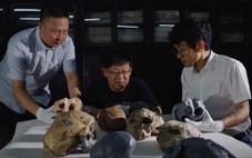 Phát hiện mới về loài người, lịch sử tiến hóa phải viết lại?
