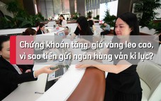 Chứng khoán tăng, giá vàng cao, vì sao tiền gửi ngân hàng vẫn kỷ lục?