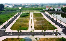 Chặn đầu cơ, lướt sóng trong đấu giá đất