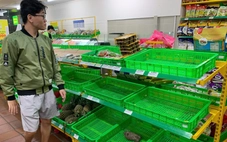 Đà Nẵng: Người dân đổ xô mua thực phẩm tích trữ trước bão, rau xanh 'cháy hàng'