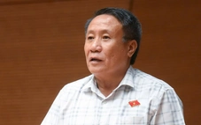 Đại biểu nói về tình trạng lừa người sang Campuchia, Myanmar dưới vỏ bọc nhà đầu tư, bắt cóc online