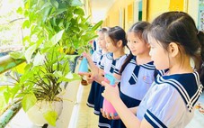 ‘Mỗi trường học phải là khu vườn xanh’