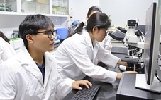 Bộ GD-ĐT đề xuất thêm vị trí 'giảng viên đồng cơ hữu' trong luật đại học sửa đổi