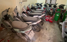 Sắp đấu giá hàng trăm xe máy cũ, giá trung bình chỉ hơn 1 triệu, rẻ hơn mua điện thoại