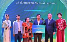 Ca sĩ Đức Phúc mở màn phiên đấu giá cá tầm nặng 50kg, người thắng là ai?
