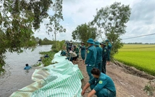 Nước lũ dâng, An Giang huy động dân quân đắp đập, gia cố đê bảo vệ lúa