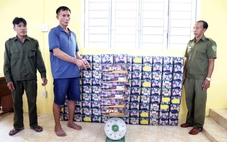 Bắt người đàn ông buôn bán 339 kg pháo hoa nổ, tàng trữ ma túy trái phép
