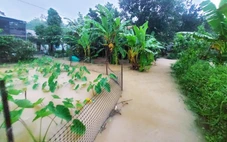 Nước lũ sông Thu Bồn có nơi trên báo động 3, Đà Nẵng tiếp tục mưa lớn hôm nay
