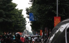 TP.HCM: Biển báo bị tán cây che mất, người đi đường khó thấy