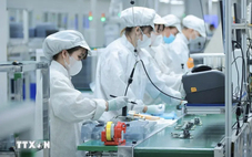 GDP Việt Nam 2025 được HSBC dự báo tăng gần 8%